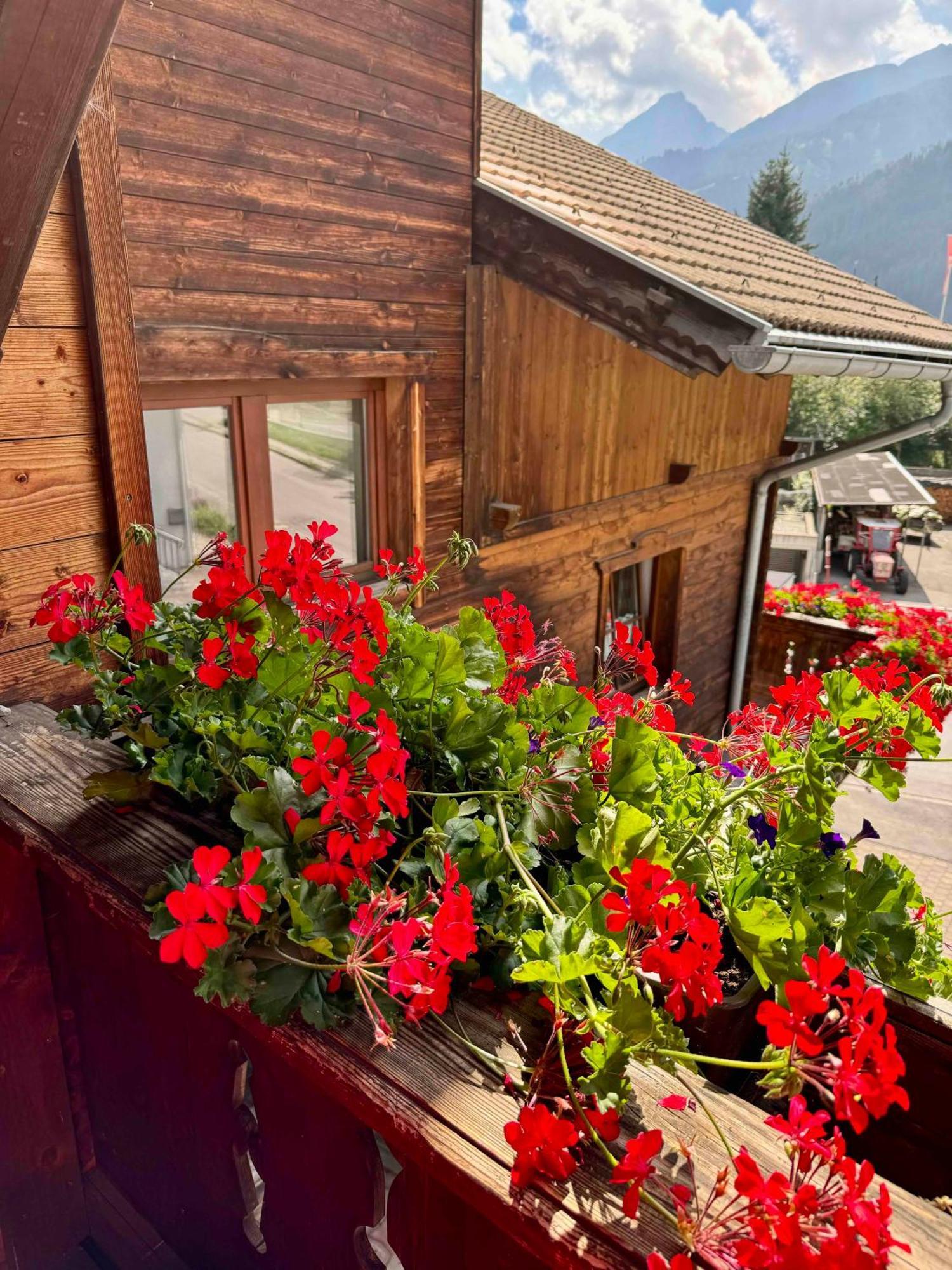 Blusnerhof Appartement Virgen